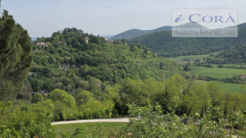 Teolo collina, proponiamo in vendita rustico composto da due unità abitative per un complessivo d...