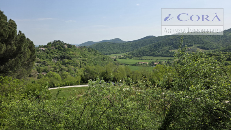 Teolo collina, proponiamo in vendita rustico composto da due unità abitative per un complessivo d...