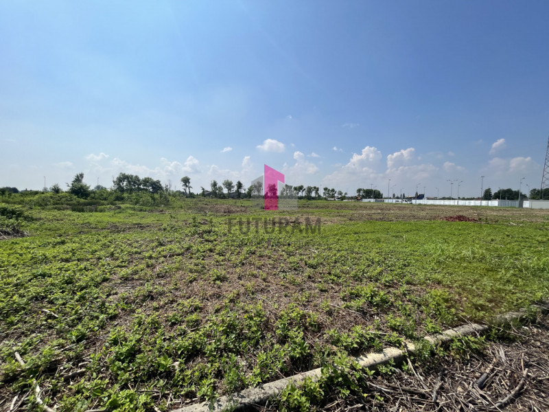 LIMENA - rif.705MIC - Per info 3473209826 - In zona di espansione industriale di Limena (ZAI Oves...