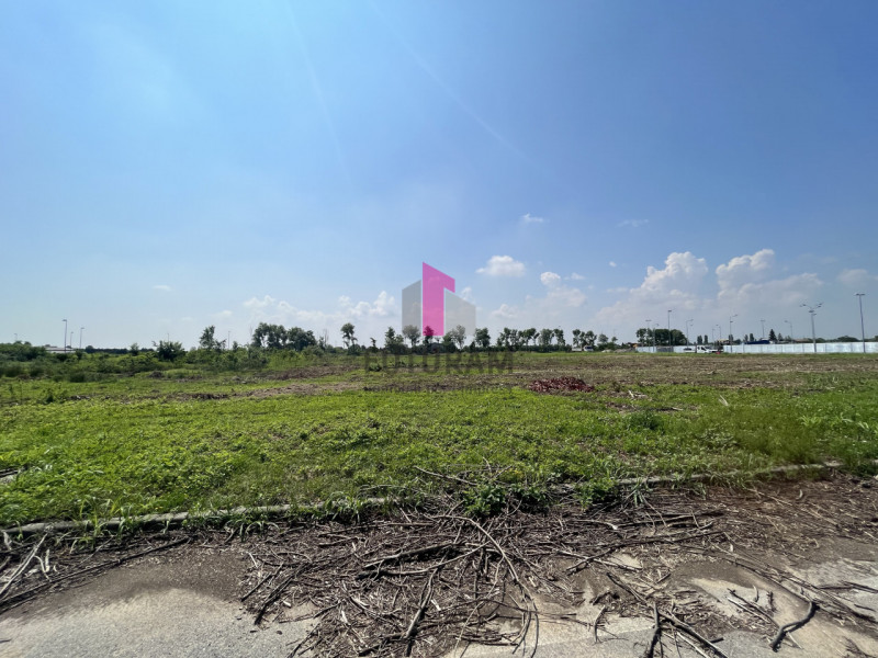 LIMENA - rif.705MIC - Per info 3473209826 - In zona di espansione industriale di Limena (ZAI Oves...