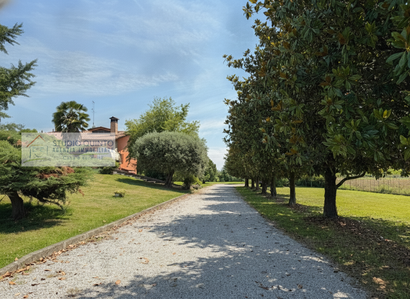 Circondata dalla natura e immersa nel verde, questa splendida villa singola rappresenta una rara ...