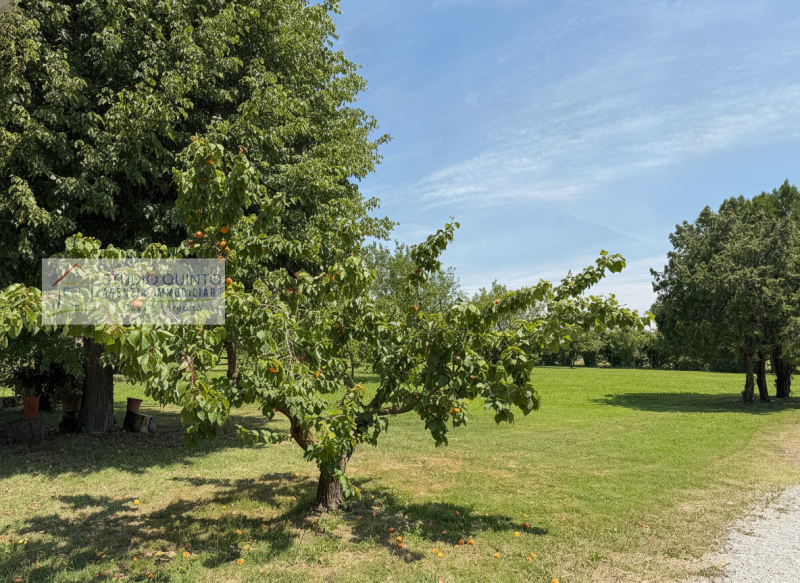 Circondata dalla natura e immersa nel verde, questa splendida villa singola rappresenta una rara ...
