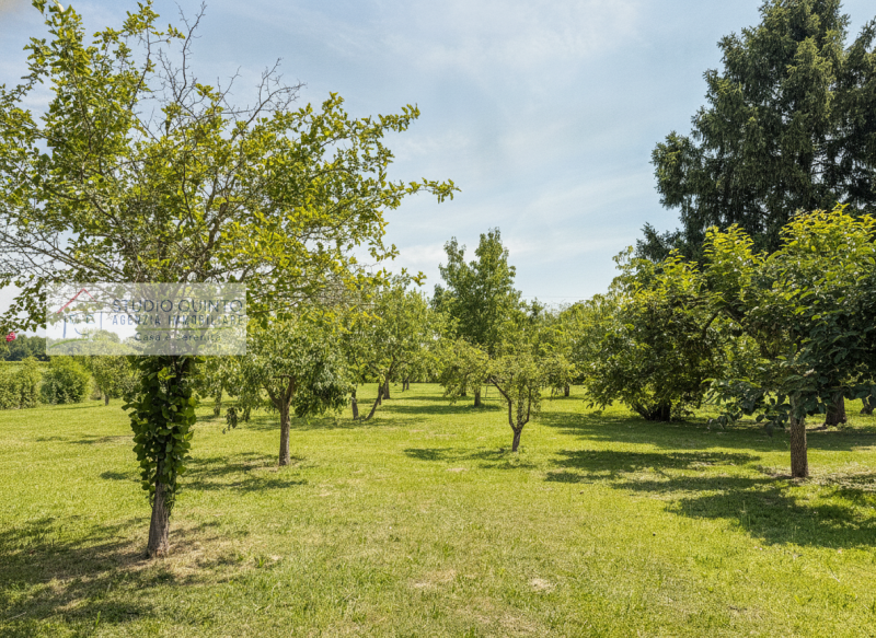 Circondata dalla natura e immersa nel verde, questa splendida villa singola rappresenta una rara ...