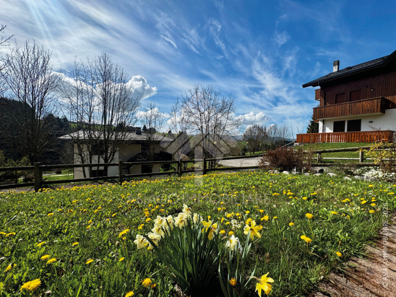 A GALLIO APPARTAMENTO BICAMERE AL PIANO TERRA IN PICCOLO RESIDENCE Asiago Immobiliare propone in ...