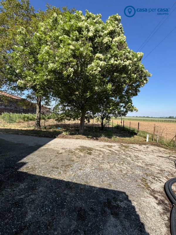 APPROVATO GRUPPO CASA PER CASA: VALUTATO, CONTROLLATO, GESTITO IN ESCLUSIVA!

ZONA:
L’immobile è ...