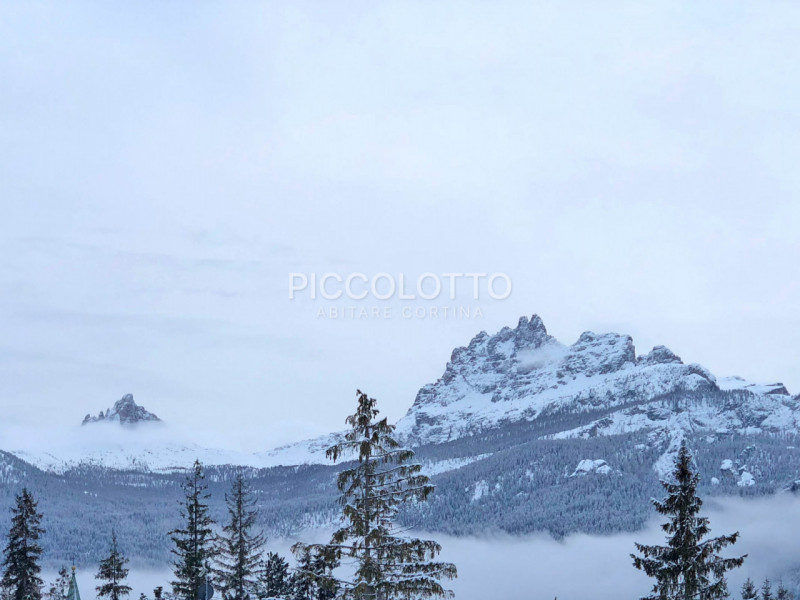 Rif. A5474 - APPARTAMENTO IN AFFITTO LUGLIO AGOSTO 2026 - 3 camere - 3 bagni - giardino

Cortina ...