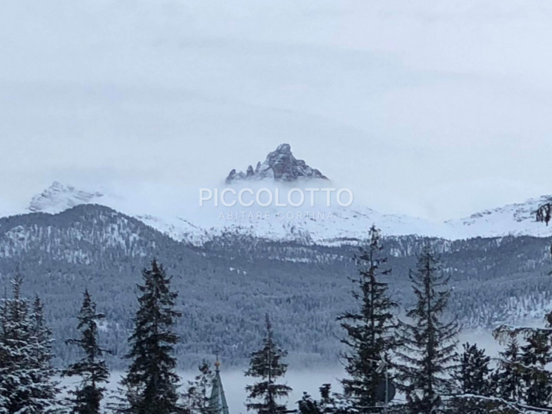 Rif. A5474 - APPARTAMENTO IN AFFITTO LUGLIO AGOSTO 2026 - 3 camere - 3 bagni - giardino

Cortina ...