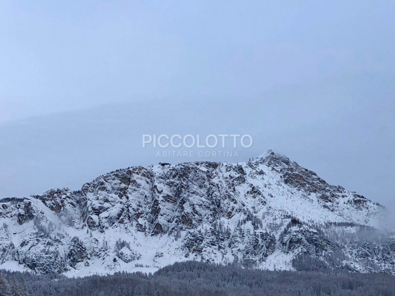 Rif. A5474 - APPARTAMENTO IN AFFITTO LUGLIO AGOSTO 2026 - 3 camere - 3 bagni - giardino

Cortina ...