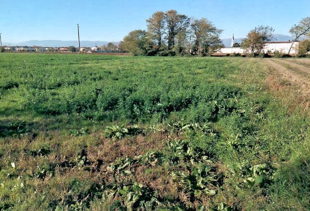 Rif. A.A.58-252

Vendita all'asta - terreno agricolo in data 09 giugno 2026

Descrizione: trattas...