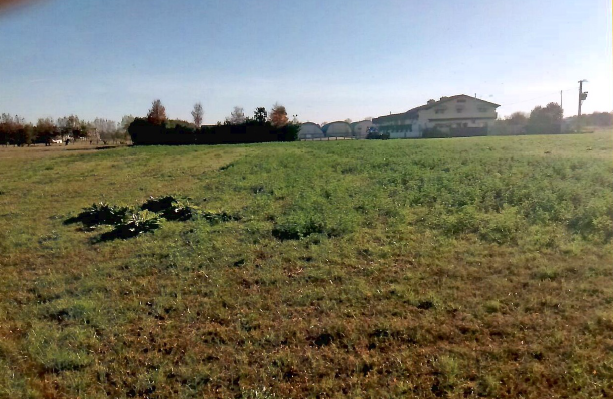 Rif. A.A.58-252

Vendita all'asta - terreno agricolo in data 09 giugno 2026

Descrizione: trattas...