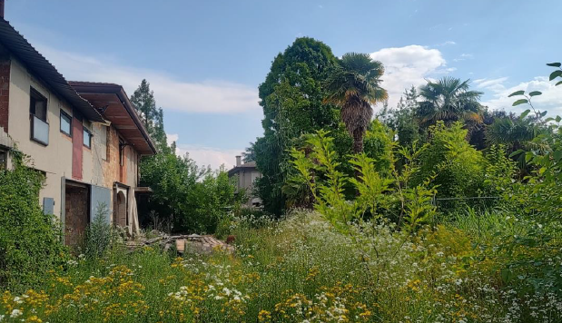 Rif. A.A.09-241

Vendita all'asta - compendio immobiliare in data 09 giugno 2026

Descrizione: tr...