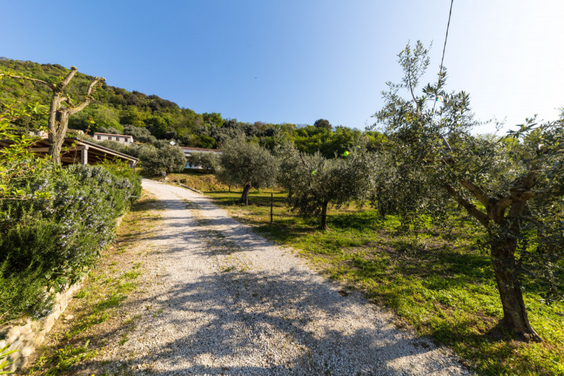 In una bellissima posizione rialzata a Baone, località Calaone, proponiamo in vendita spettacolar...