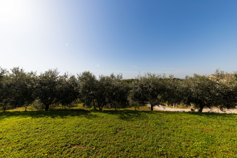 In una bellissima posizione rialzata a Baone, località Calaone, proponiamo in vendita spettacolar...