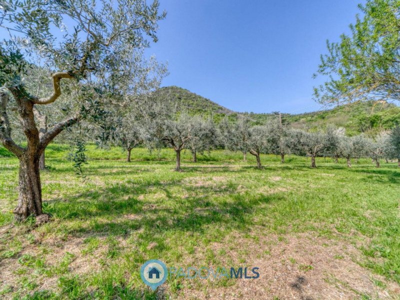 Immobile in esclusiva al Gruppo Padova MLS
MONSELICE Zona Solana, ai piedi del colle Montericco i...