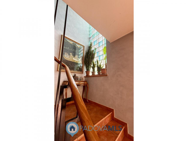 Immobile in esclusiva al Gruppo Padova MLS

SAN BELLINO - ARCELLA: In un contesto residenziale tr...