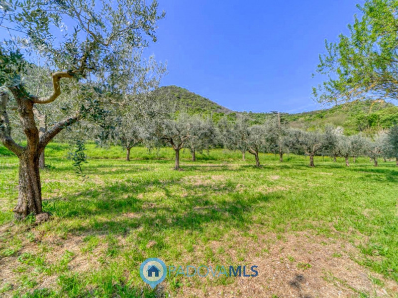 Immobile in esclusiva al Gruppo Padova MLS

MONSELICE Zona Solana, ai piedi del colle Montericco ...