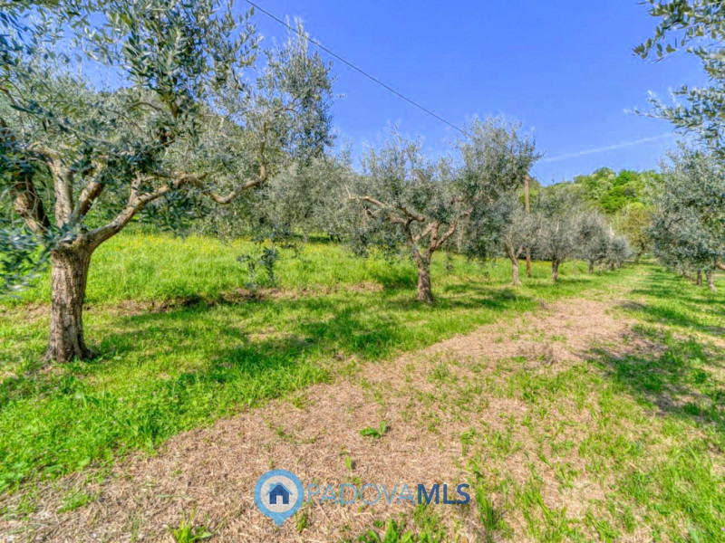 Immobile in esclusiva al Gruppo Padova MLS

MONSELICE Zona Solana, ai piedi del colle Montericco ...