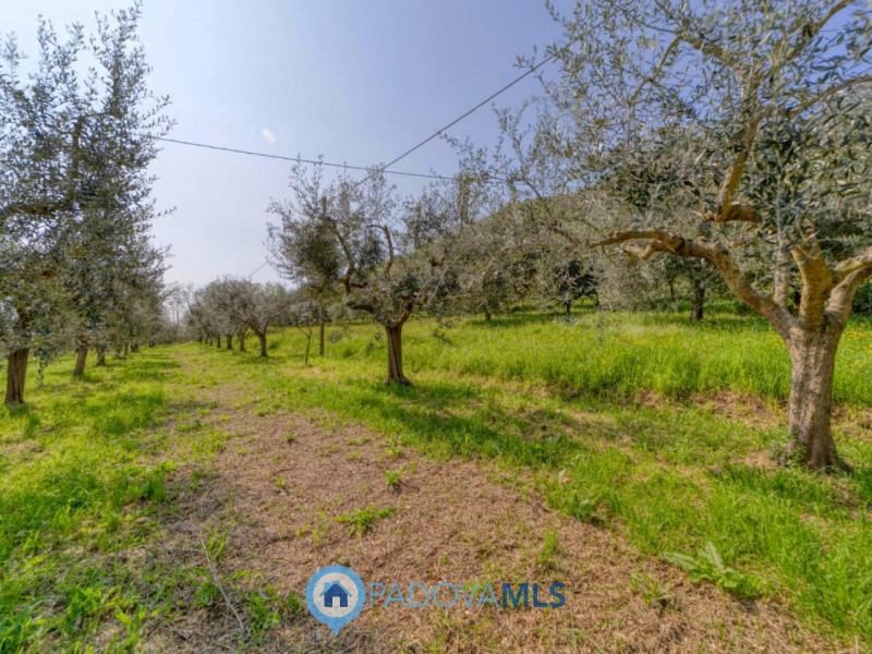 Immobile in esclusiva al Gruppo Padova MLS

MONSELICE Zona Solana, ai piedi del colle Montericco ...