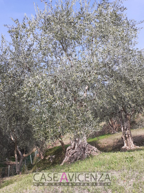 NANTO - COLLINA - Proponiamo in "ESCLUSIVA" la vendita di una casa singola disposta tutta su un p...