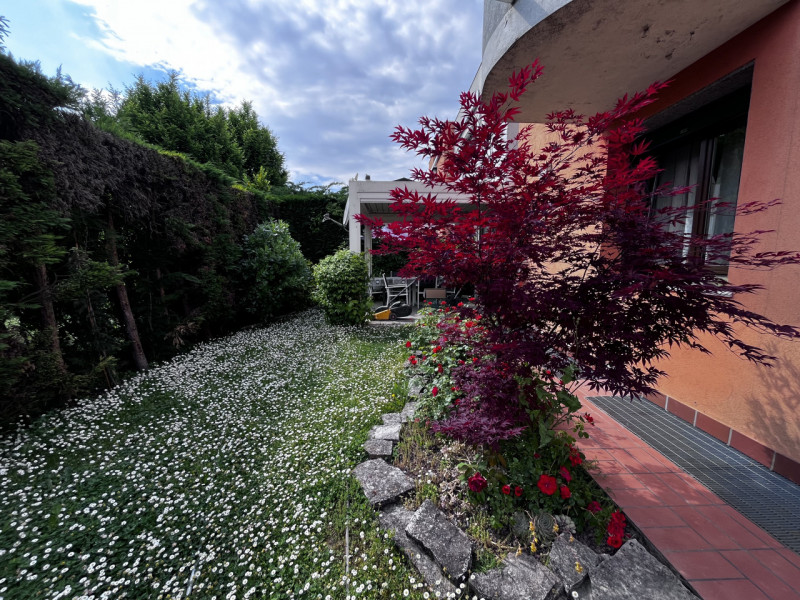 ABANO TERME – CENTRO
Proponiamo in vendita appartamento al piano terra, completamente ristruttura...