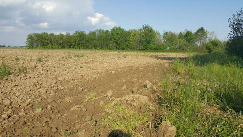 Proponiamo in vendita terreno agricolo dalle dimensioni lineari con un buon fronte strada, possib...