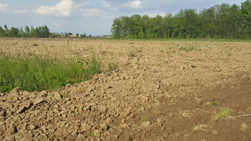 Proponiamo in vendita terreno agricolo dalle dimensioni lineari con un buon fronte strada, possib...
