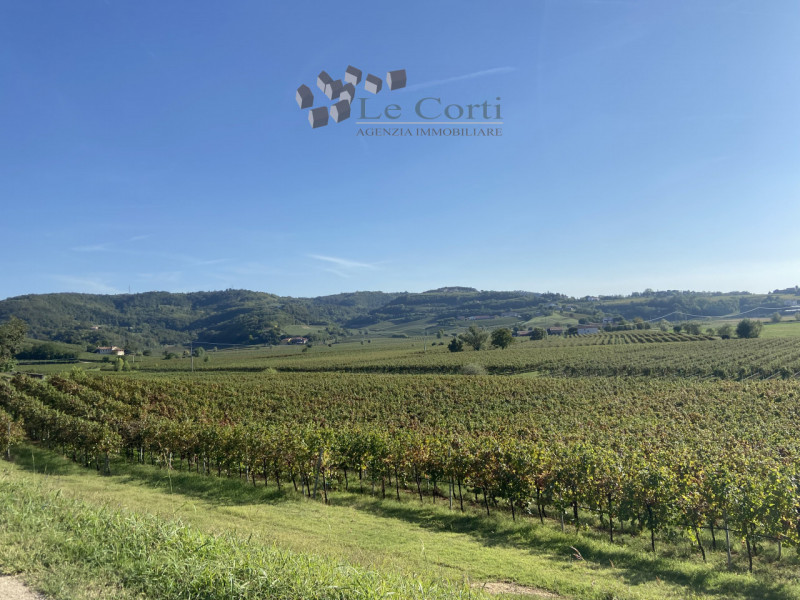 SAREGO - rustico con circa 12 ettari di terreno agricolo annesso, coltivati a vigneto, in parte a...