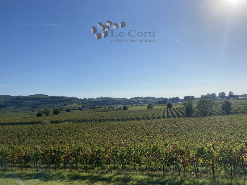 SAREGO - rustico con circa 12 ettari di terreno agricolo annesso, coltivati a vigneto, in parte a...