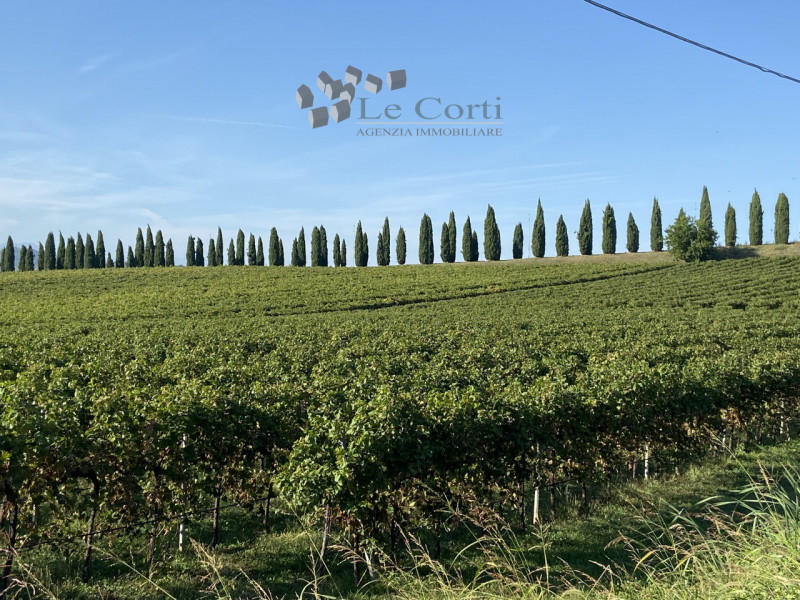 SAREGO - rustico con circa 12 ettari di terreno agricolo annesso, coltivati a vigneto, in parte a...