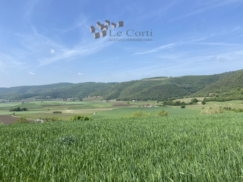 SAREGO - rustico con circa 12 ettari di terreno agricolo annesso, coltivati a vigneto, in parte a...