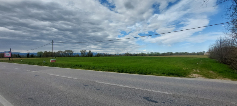 A Piazzola sul Brenta proponiamo in vendita un interessante compendio agricolo di circa 34.149 mq...
