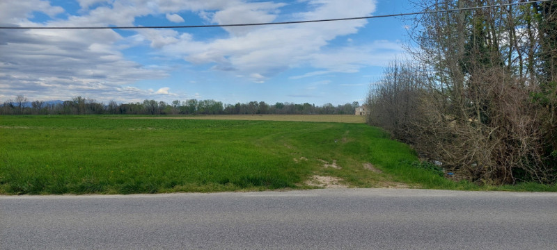 A Piazzola sul Brenta proponiamo in vendita un interessante compendio agricolo di circa 34.149 mq...