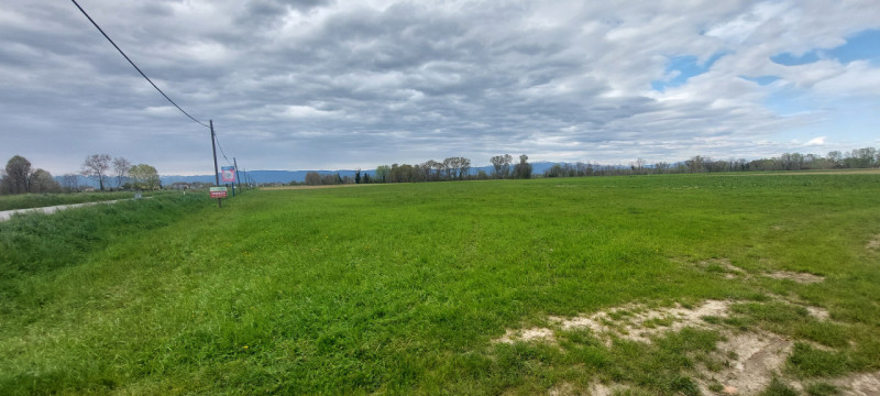 A Piazzola sul Brenta proponiamo in vendita un interessante compendio agricolo di circa 34.149 mq...
