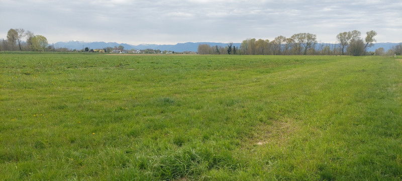 A Piazzola sul Brenta proponiamo in vendita un interessante compendio agricolo di circa 34.149 mq...