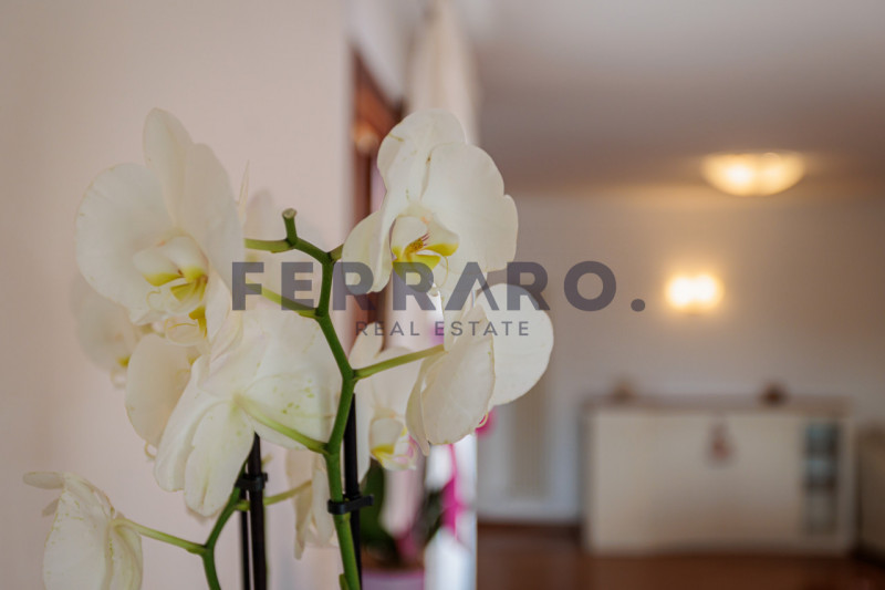 Treviso, Santa Maria del Rovere. Codice MSF-30

Proponiamo in vendita esclusivo attico situato al...
