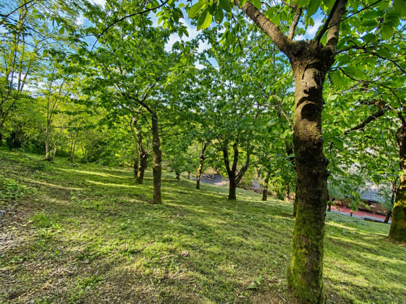 A Chiampo, in posizione immersa nel verde e nella tranquillità, ma allo stesso tempo a pochi minu...
