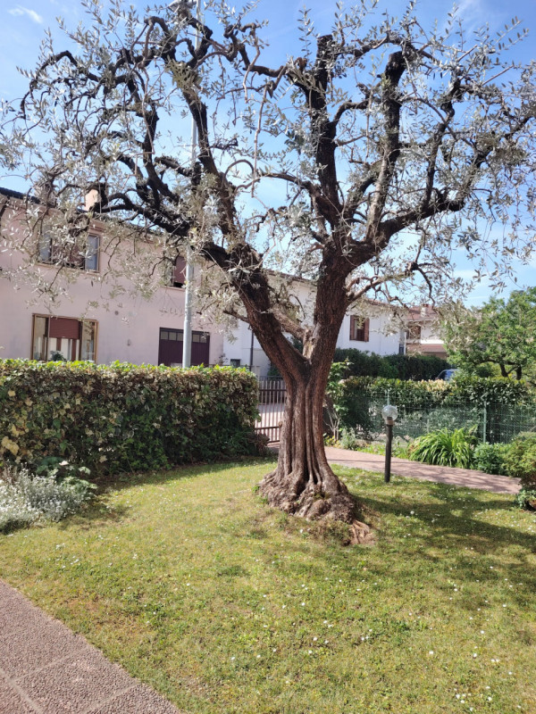 In palazzina di sole 2 unità, con ingresso indipendente, proponiamo interessante appartamento, co...