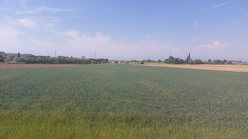 Nella piccola frazione di Colzè, appartenente al Comune di Montegalda, abbiamo da proporvi un int...