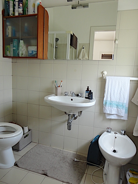 Nel cuore del centro storico, in prossimità di via Degli Zabarella, è disponibile da agosto un ap...