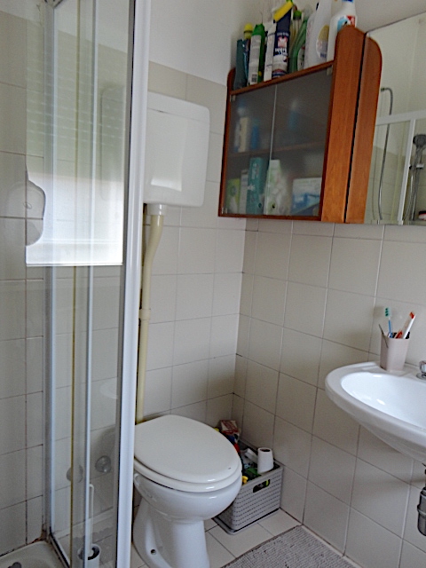 Nel cuore del centro storico, in prossimità di via Degli Zabarella, è disponibile da agosto un ap...