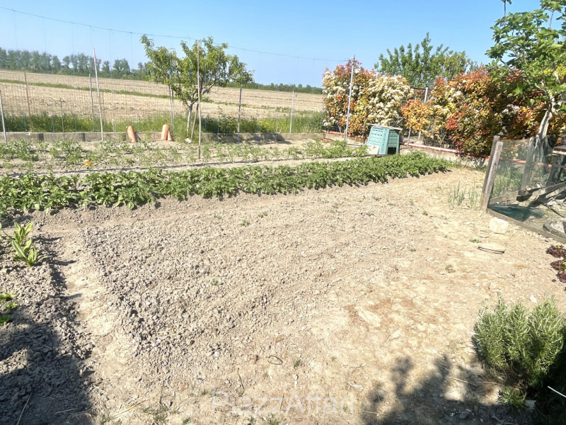 Pegolotte di Cona (VE): Porzione di casa in contesto bifamiliare, sviluppata su 2 piani, con area...