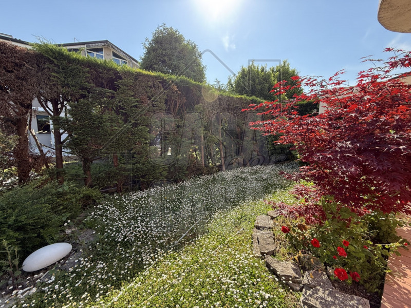 Proponiamo in vendita a pochi passi dal Duomo di Abano Terme, un raffinato appartamento di circa ...