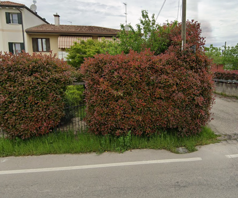 Rif. A.A.222-25

Vendita all'asta - appartamento al piano terra con garage in data 16 giugno 2026...