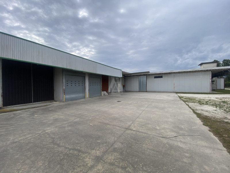 Capannone industriale di 4.000mq, ideale per attività logistiche o produttive, situato in posizio...