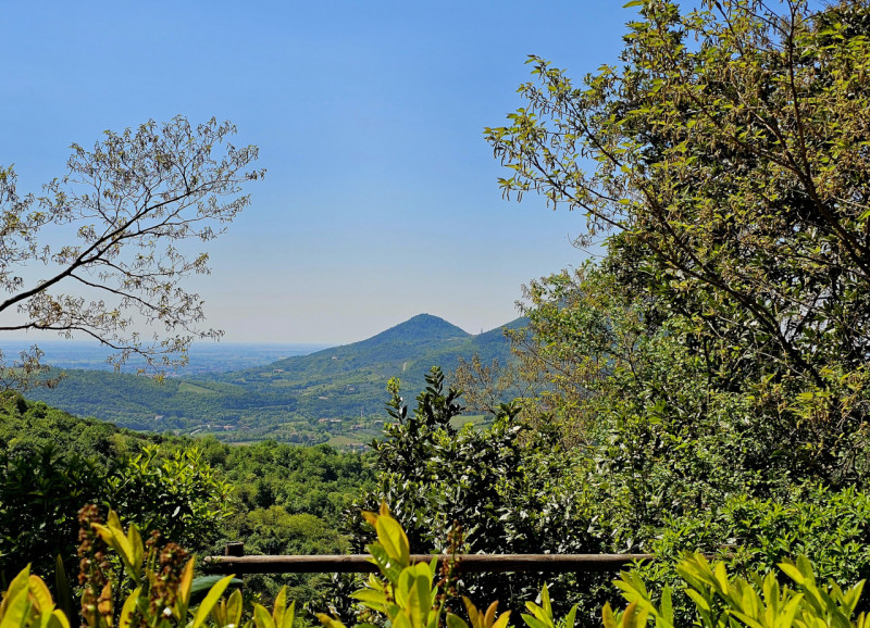 Proponiamo in vendita un'imperdibile rustico semindipendente situato a Cinto Euganeo, in una spet...