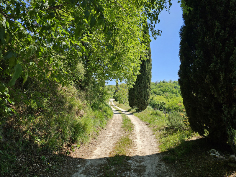 Proponiamo in vendita un'imperdibile rustico semindipendente situato a Cinto Euganeo, in una spet...