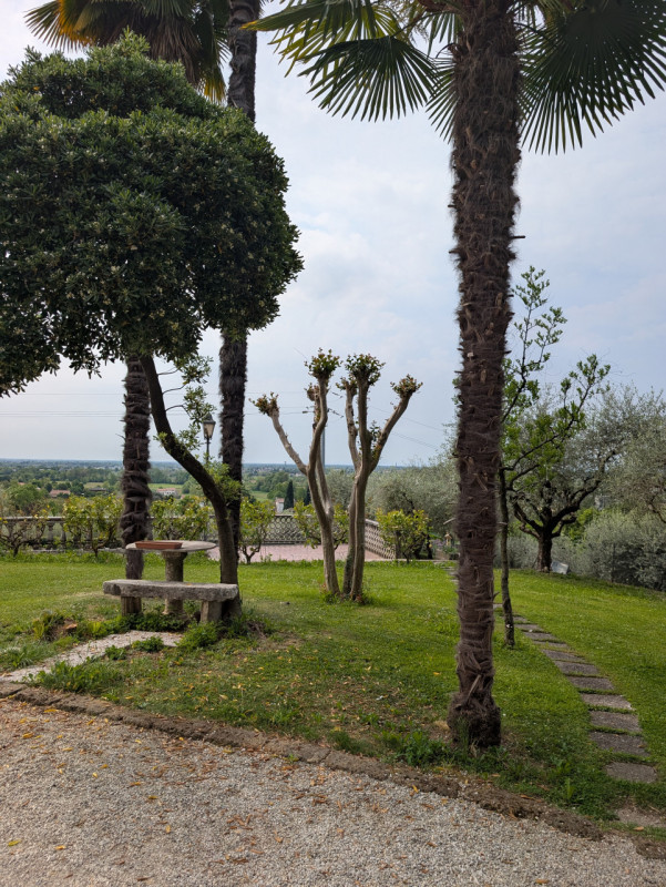 I meravigliosi colli a ovest di Asolo, la vallata che si estende fino ai Colli Euganei, la Rocca ...
