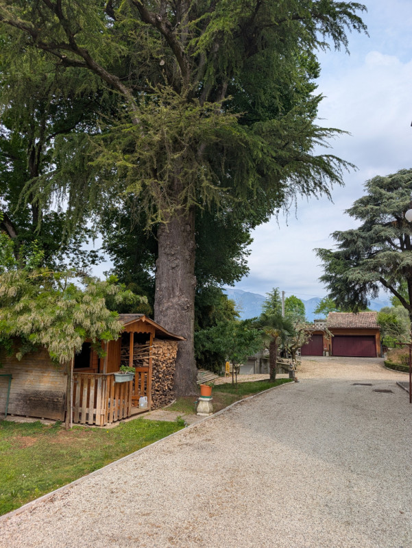 I meravigliosi colli a ovest di Asolo, la vallata che si estende fino ai Colli Euganei, la Rocca ...
