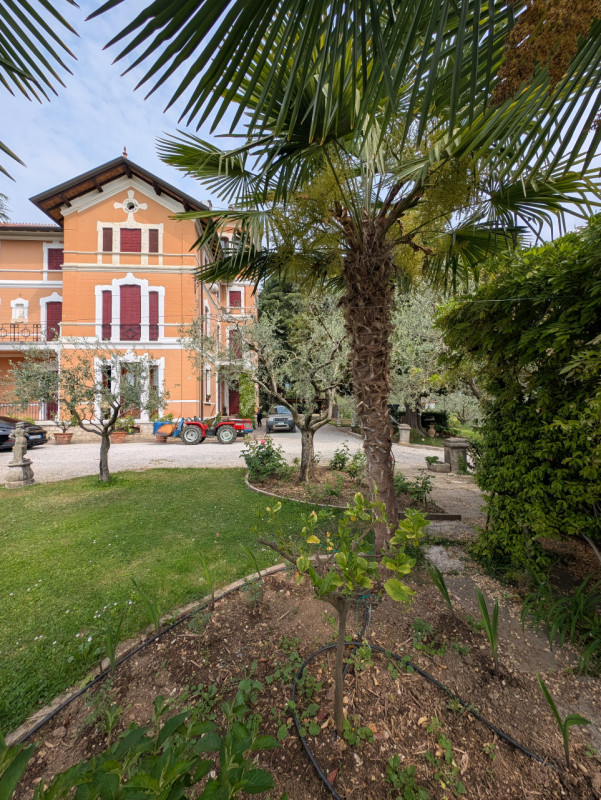 I meravigliosi colli a ovest di Asolo, la vallata che si estende fino ai Colli Euganei, la Rocca ...