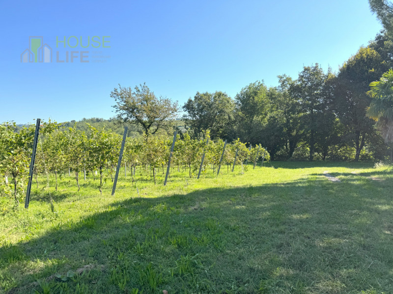 FARA VICENTINO: SPLENDIDA PROPRIETA' AGRICOLA IN COLLINA con vigneto, abitazione, annessi rustici...